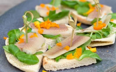 Pita puntjes met paling