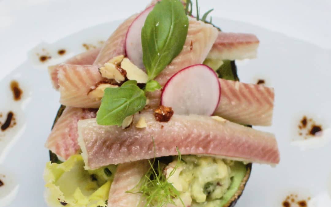 Gevulde avocado met paling