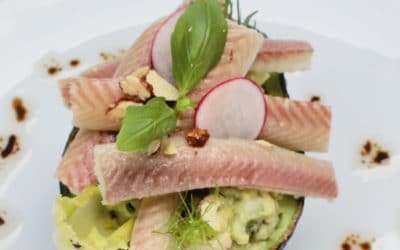 Gevulde avocado met paling