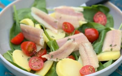 lauwwarme salade met paling